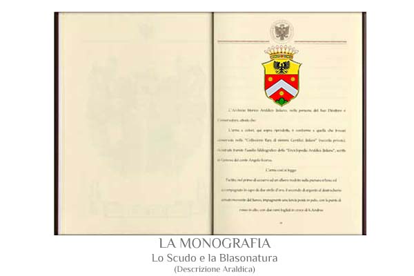Monografia 4