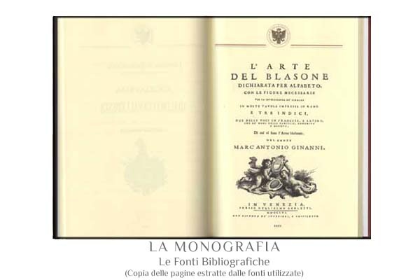 Monografia 7